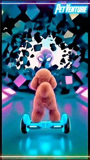 PetVenture Alien Invasion Saga Ep.1 | Toy Poodle vs Jelly Monsters 👾🛹 #shorts