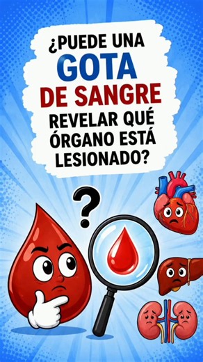 Biomarcadores y Enzimas: ¿Qué revelan tus análisis de sangre? 🔬