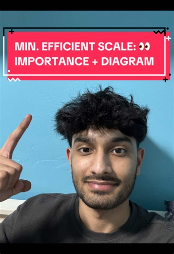 Understanding Minimum Efficient Scale in Economics