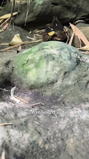 “A stone with an unusual shape, as if it has a meaning.”🤔😱 #TreasureMystery | Wenlie's Tivi