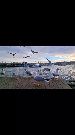 Exploring Istanbul: A Journey Through Culture and Nature