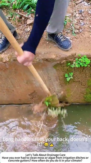 Cleaning Moss off a Concrete Drainage Wall – Long Shovel Does the Job 💧