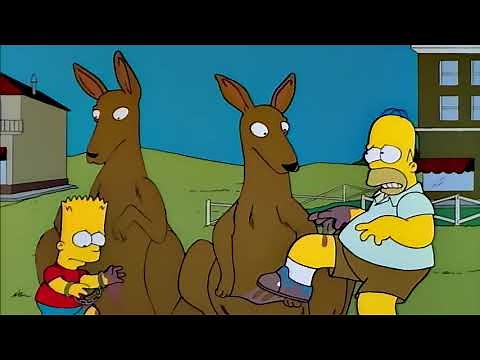 Kangaroo Pouches - The Simpsons