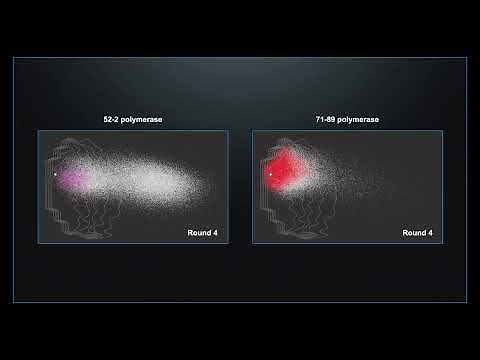 Modeling the origins of life: New evidence for an “RNA World”