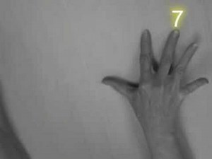 Finger Math: The Basics