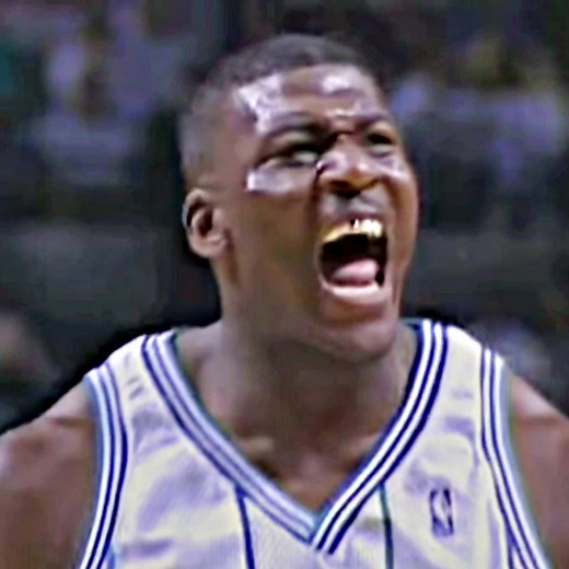 Larry Johnson Charlotte Hornets Basketball Highlights