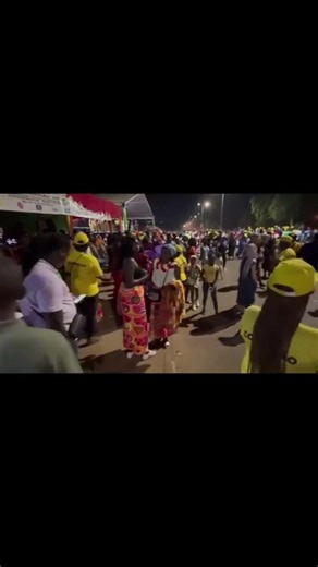 Vibrant Night Carnival Comes Alive!