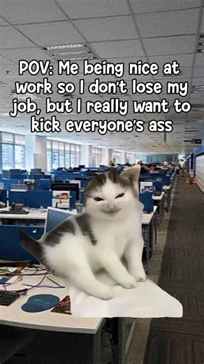 Cute smiling cat #cat #funny #cute