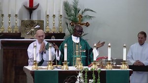 Welcome to St. Elizabeth Seton Catholic Church | St. Elizabeth Seton Catholic Church