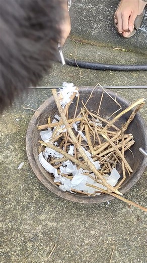 第一次打火石生火，很難 | Ray Wu