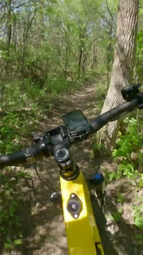 Lauf eElja - through the trees #lauf #shorts #emtb #eelja