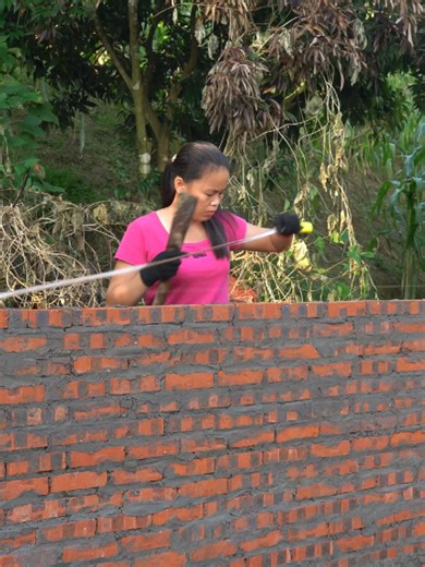 Innovative Brick and Cement House Construction Techniques