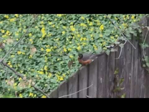 ☕️💰Motivational Mondays Ep. 151: USE YOUR VOICE, BUILD YOUR GENERATIONAL LEGACY, & BE OPEN TO LOVE!!