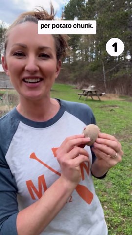 Katie Krejci, RD | The Homesteading RD on Instagram: "🥔Plant potatoes in 6 easy steps!! 1) 2 days before planting, cut any potatoes that are larger than a golf ball into smaller pieces (each piece should have 2 “eyes”). 2) Loosen up your soil with a broadfork 3) Space them out 12” apart in a line 4) Dig a hole 3” deep with a trowel (some people like to dig a trench down the entire line and that’s fine, too! I find this way to be easier for me) 5) Place the potato in the hole with the eyes (spro