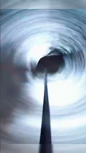 spear hunting with huge wild hogs #huntingtime #wildlife #wildboar