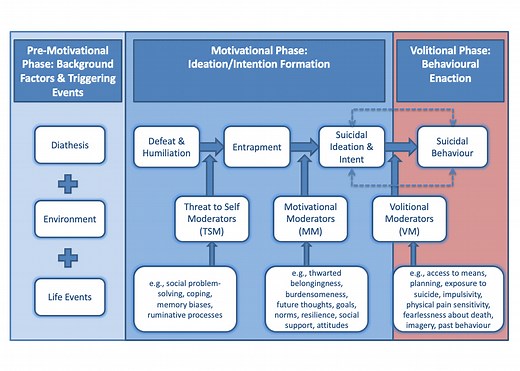 The IMV Model