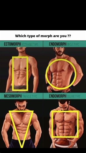 Which type of morph are you | I am mesomorph #financialfreedom #mensmindset #successmindset