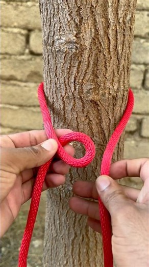 Amazing Knot Trick!