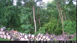 Trail Camera WiFi 20MP 1296P Game Camera -Free 32G SD Card with 0.3s Trigger Time Remote Control Night Vision Motion Activated