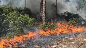 Red flag warning issued for large portion of Florida. What does it mean?