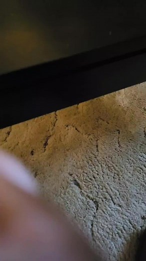 sexy._.nike (@sexynike2)’s videos with