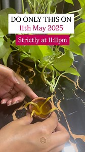 39K views · 745 reactions | Comment “11:11” to claim May 11, 2025,...