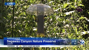 I may have to go back to Sagawau Environmental Learning Center on my own! Such a beautiful, peaceful place! #Weekender #OutdoorFun Forest Preserve District of Cook County | Roz Varon ABC7