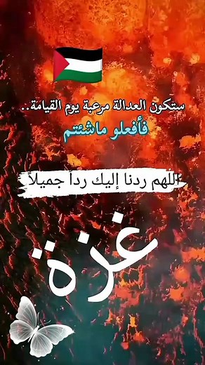 Jamal Hajaj on Reels