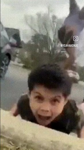 chikawaga #memes #funny #fyp