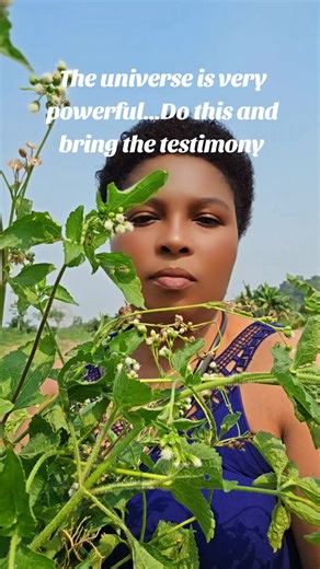 Harnessing Universal Power for Spiritual Awakening