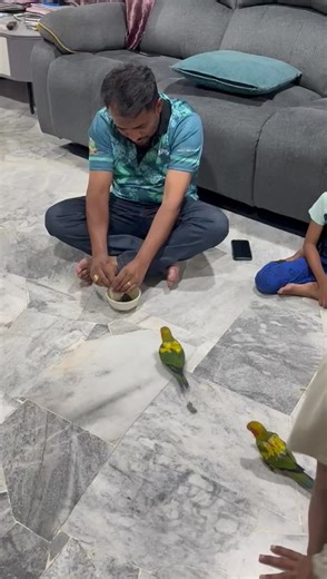 How to Recall and Feed Your Parrot Correctly