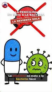 La penicilina NO mata a la bacteria: la revienta sola 💊 Penicilinas para el ENARM