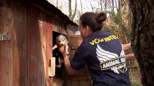 26K views · 923 shares | 5 years ago was our very first rescue operation! A Puppy Mill in Warren County Tennessee. 121 lives saved from incredible suffering! Thank you to all of our amazing volunteers and donors. We cannot do it without your generous support! To help: comment #donate and the dollar amount (ex. #donate $20) and we will reply with a short one-time form for you to complete. | Animal Rescue Corps | Facebook