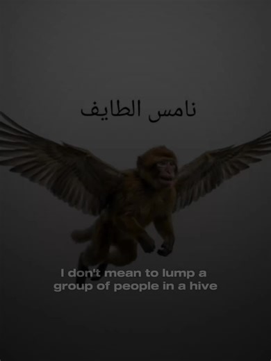 تقاليد الطائف في الثمانينات