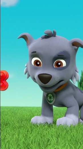 The pups cool off in a pool except for Rocky - Paw patrol