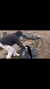 1.5M views · 46K reactions | Outlaw Rocks Mining Davis Creek Rainbow Obsidian! Available at our rock shop in Bly, OR! outlawrocksllc.com #foryoupageシ #foryoupage #foryouシ #foryourpage #outlawrocks #rockhound #fyp #mining #obsidian #rainbowobsidian | Outlaw Rocks | Facebook