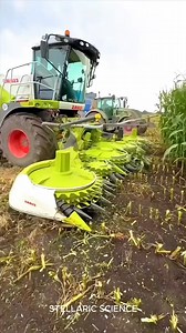 589K views · 5.7K reactions | "What Is Corn Silage and Why It Matters" #science #facts | Bio Intelligence Stories | Facebook