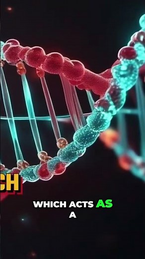 Does DNA Reveal Evidence of an Intelligent Designer?