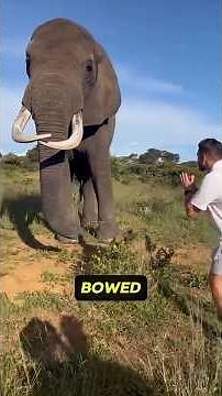 Most INCREDIBLE Animal MOMENTS Ever Caught on Camera.