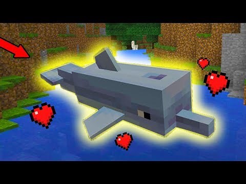How To Find and Tame DOLPHINS in Minecraft PE (Pocket Edition) MCPE 1.4 Update Addon