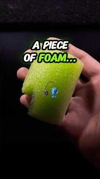 🐟 FOAM = FISH?!? (WBBP17) #bassfishing #fishinglife #fishing