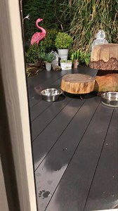 60K views · 4.7K reactions | Mr Lumpy day today and here is one of my all-time favourite videos of a very special Mr Lumpy 說❤️ | Mr Lumpy & Friends. | Facebook