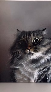 Where my cat peeps? Look at that face! @katia_teri brings every sinuous line to life. #beautifulbizarre #contemporaryart #surrealart #artcollectors #artmagazine #artinspo #hyperealism #cat #catart | Beautiful Bizarre Magazine