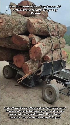The Incredible Hauling Power Of A Miniature Heavy Duty Log Truck