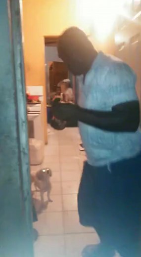 The dog 🐕 understand the assignment 😆 🤣 | Rich forever -YouTube channel