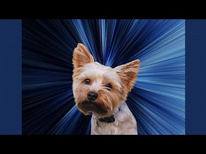 REVYZE now launched in UK: brilliant free GCSE revision app