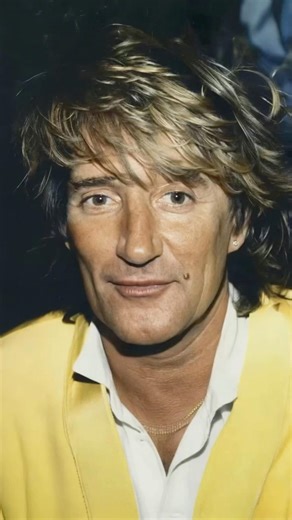 Rod Stewart: A Classic 1991 Portrait