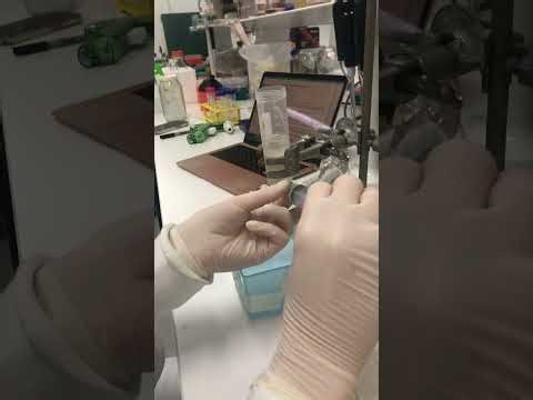 Removing endotoxin from phage with octanol - Sep 2022 - Jessica Sacher