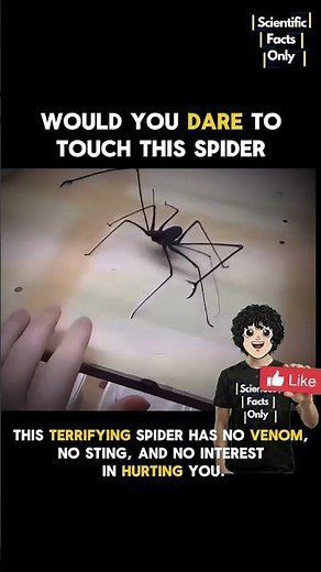 This Isn't the Monster You Think It Is 🤯 #nature #spiderman