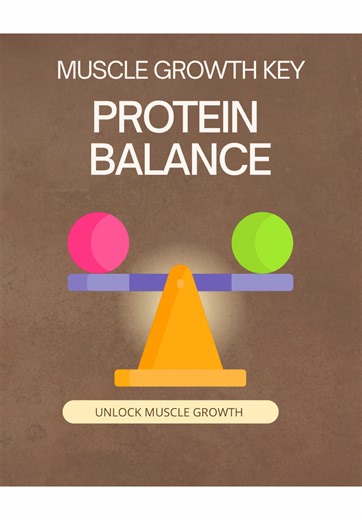 The Key to Protein Balance for Effective Muscle Growth